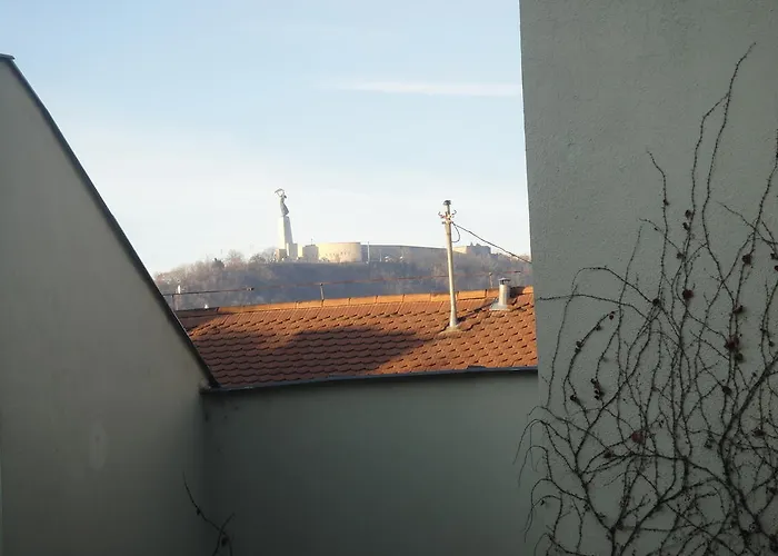 Daire Museum View